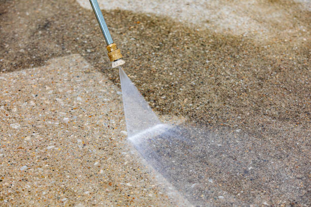 Best House Exterior Washing  in Miami Lakes, FL